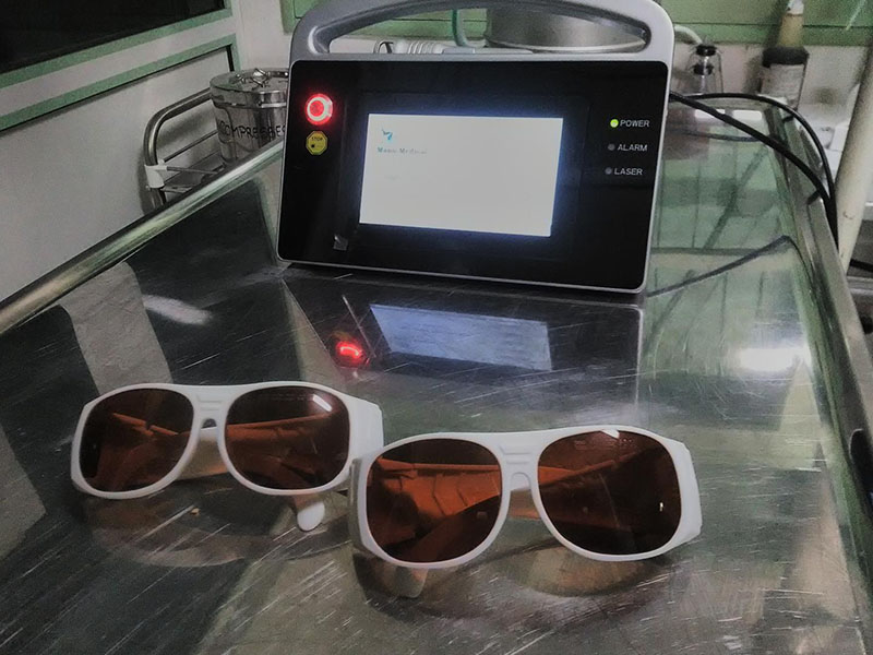 Vétérinaire Guadeloupe - Thérapie laser
