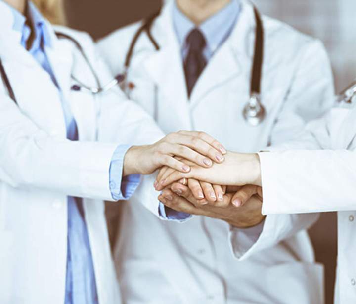 Soins vétérinaires chien chat Guadeloupe