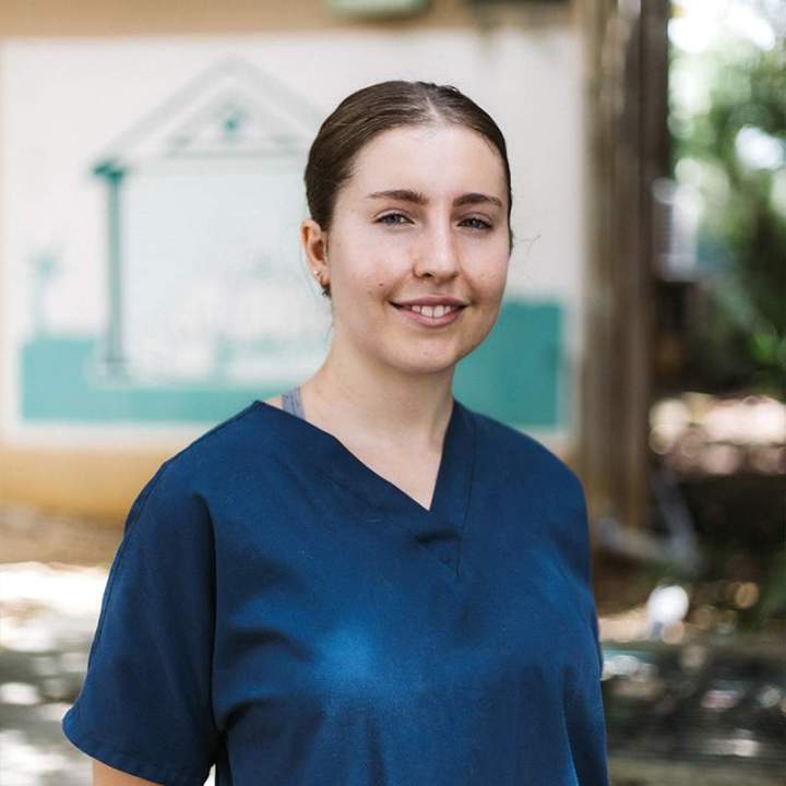 Soins vétérinaires chien chat Guadeloupe