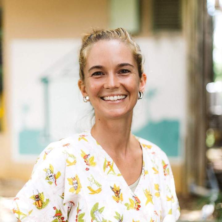 Soins vétérinaires chien chat Guadeloupe