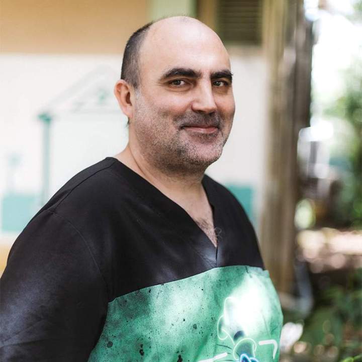 Soins vétérinaires chien chat Guadeloupe