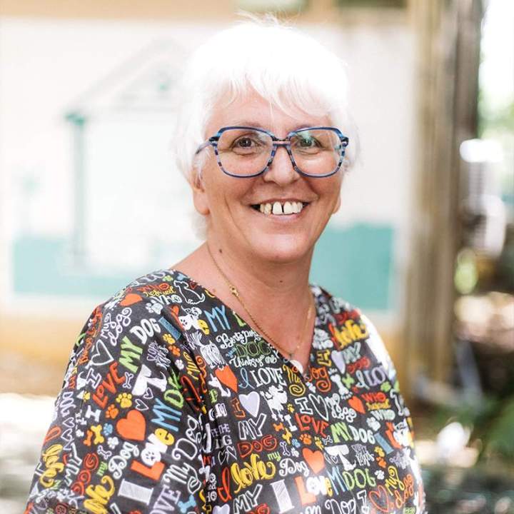 Soins vétérinaires chien chat Guadeloupe