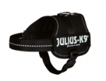 Julius-K9