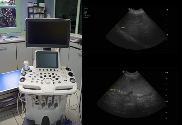 Appareil d'échographie pour animaux Guadeloupe