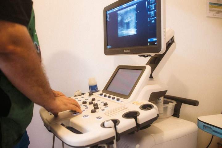 Soins lapins furets Guadeloupe