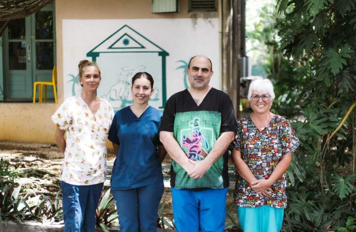 Clinique vétérinaire Guadeloupe