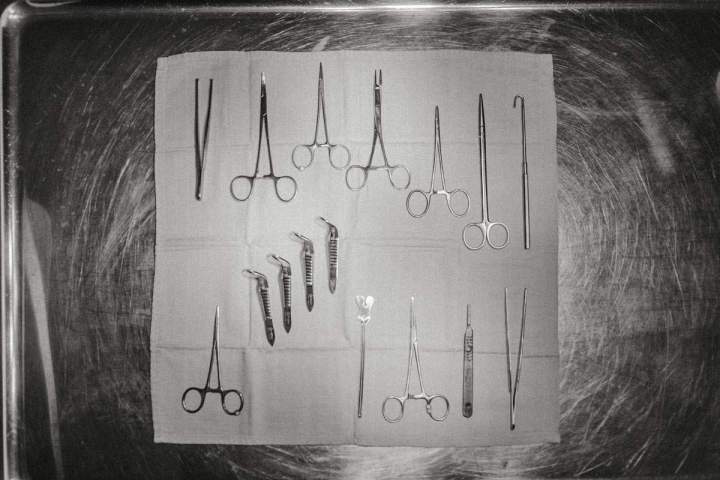 Clinique vétérinaire Guadeloupe