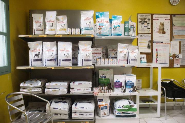 Soin pour chat Guadeloupe