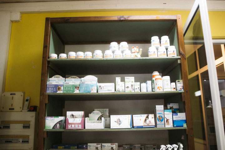 Pâte de polissage dentaire Guadeloupe