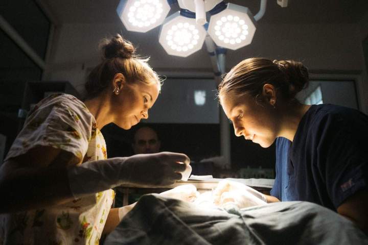 Vétérinaire pour chien à Guadeloupe