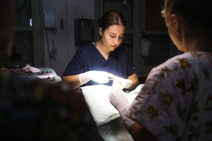 Clinique vétérinaire Guadeloupe