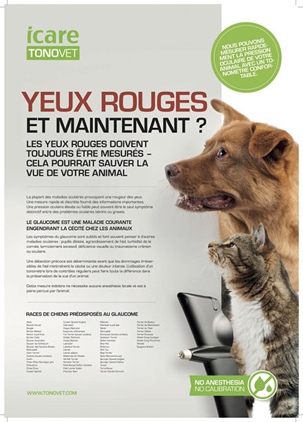 Vétérinaire Guadeloupe Ophtalmologie chien